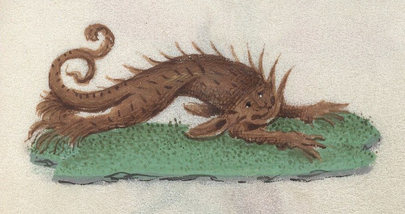 Medieval beast illustration