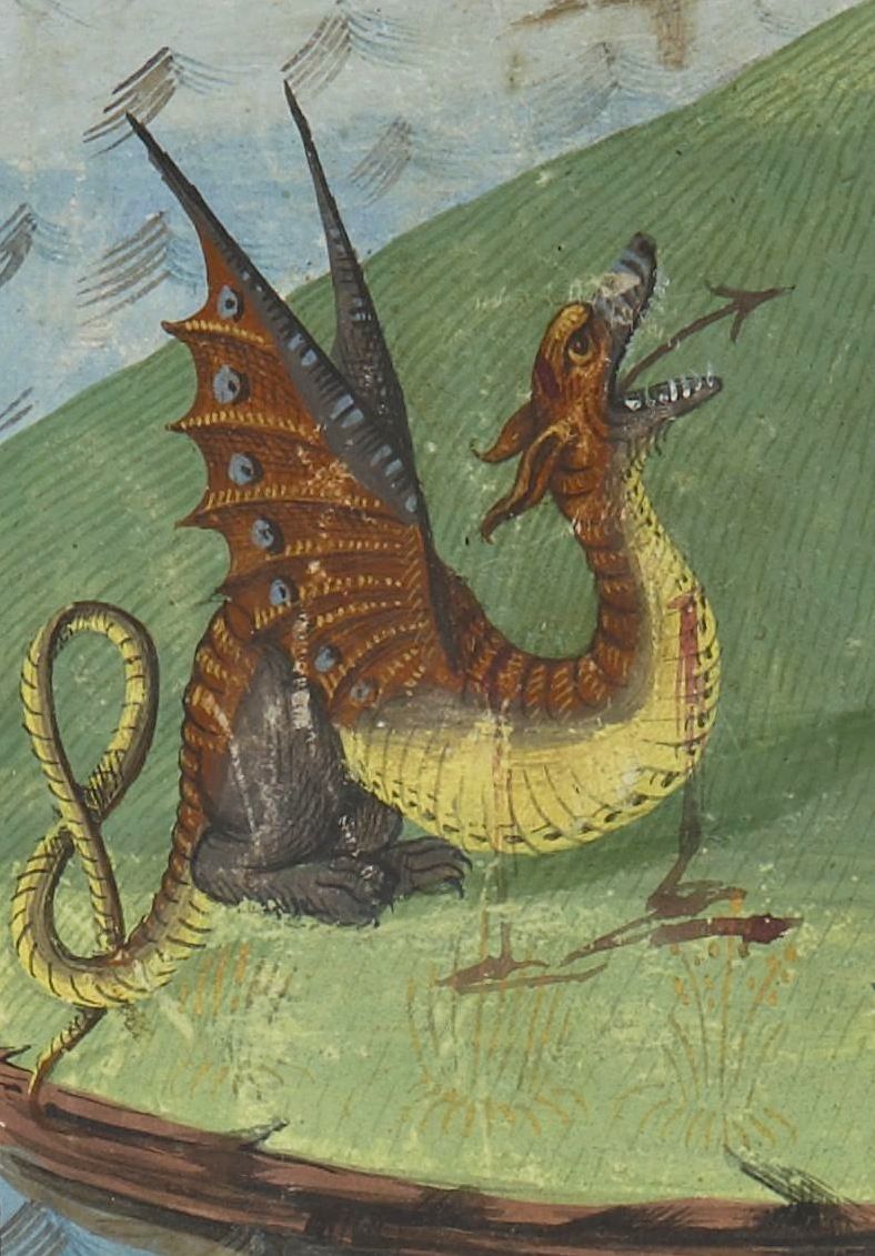 Dragon